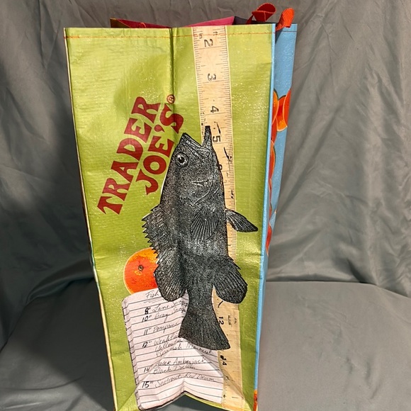 Trader Joe’s Florida Reusable Grocery Tote – 6 Gallon - Picture 4 of 8